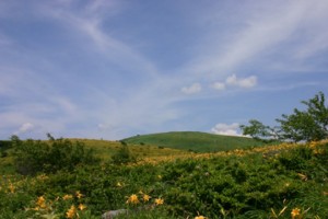 20050718_133425