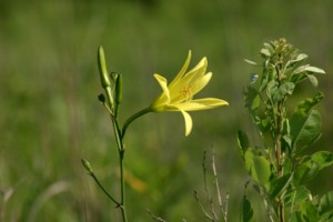 20050718_152356