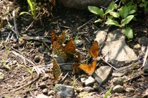20050718_152836
